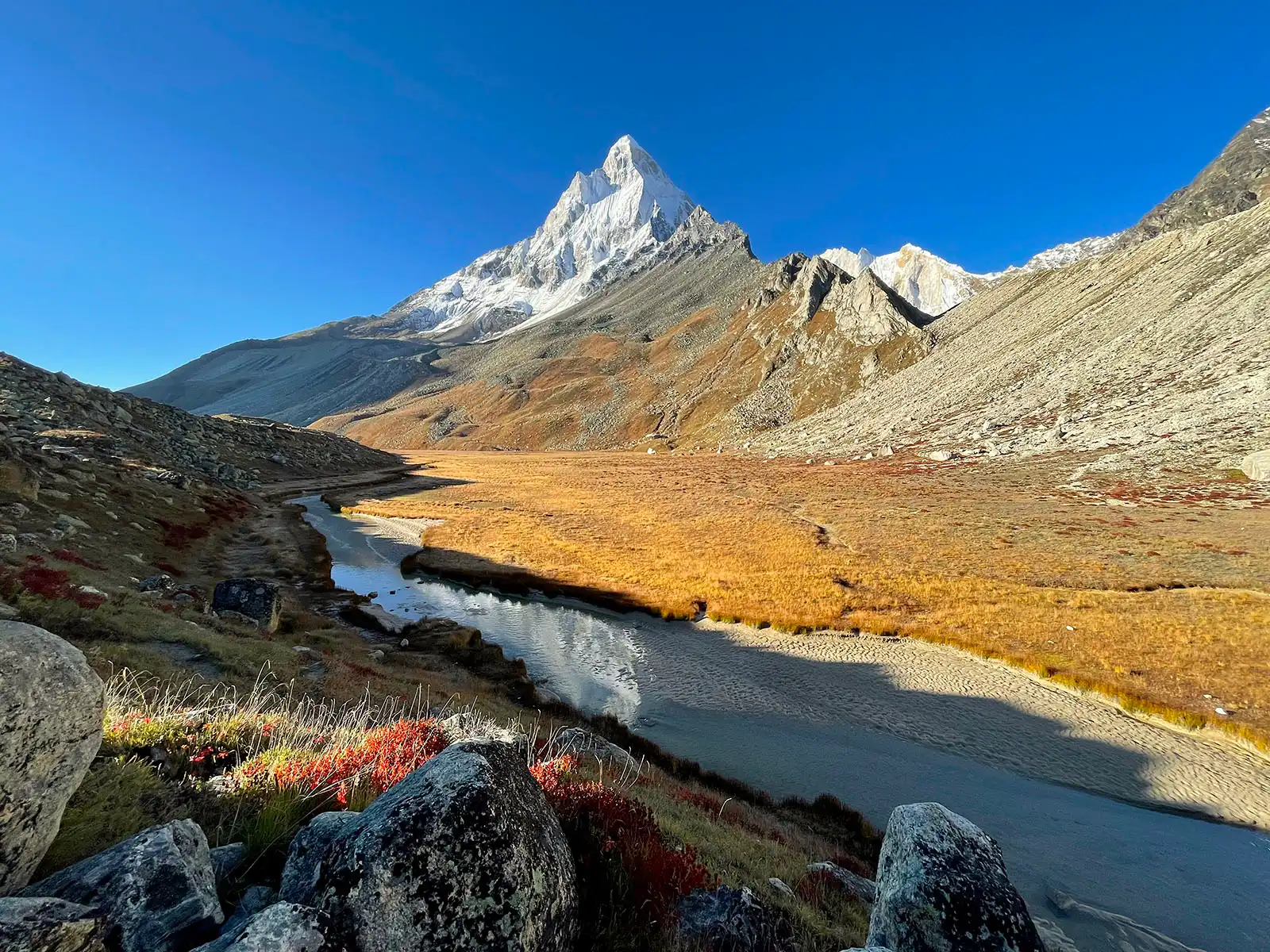 Gaumukh Tapovan Trek