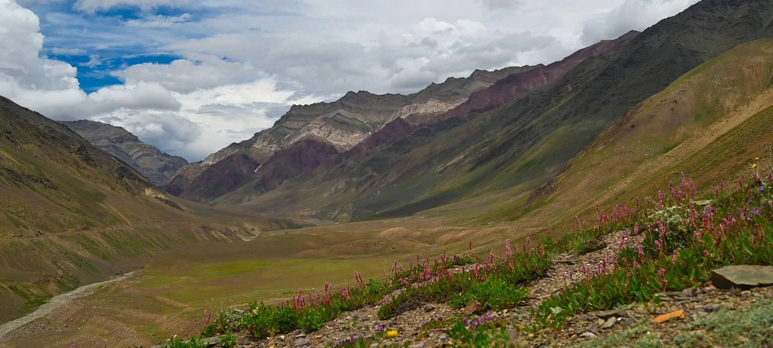 Pin Bhaba View 5