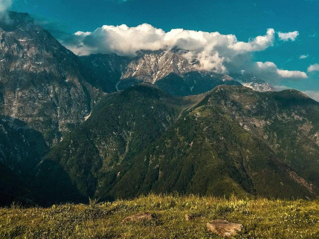 Dodital Trek View 4