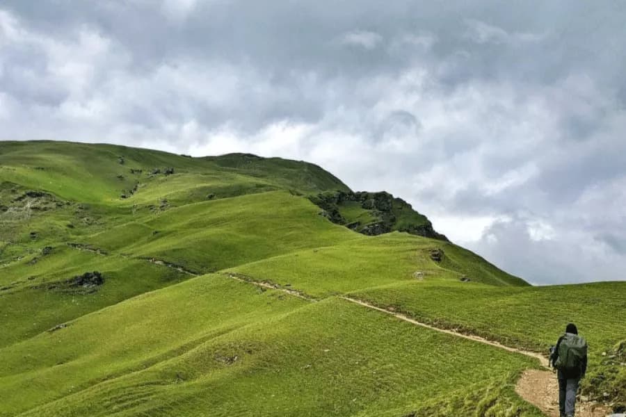 Ali Bedni Bugyal View 4