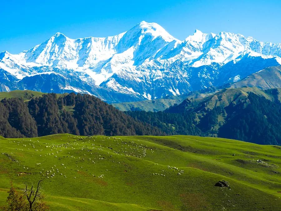 Dayara Bugyal View 2