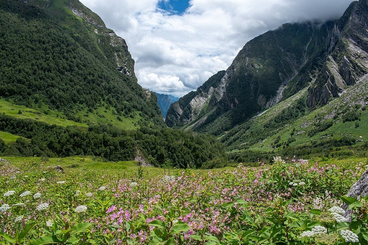 Valley of Flowers View 2