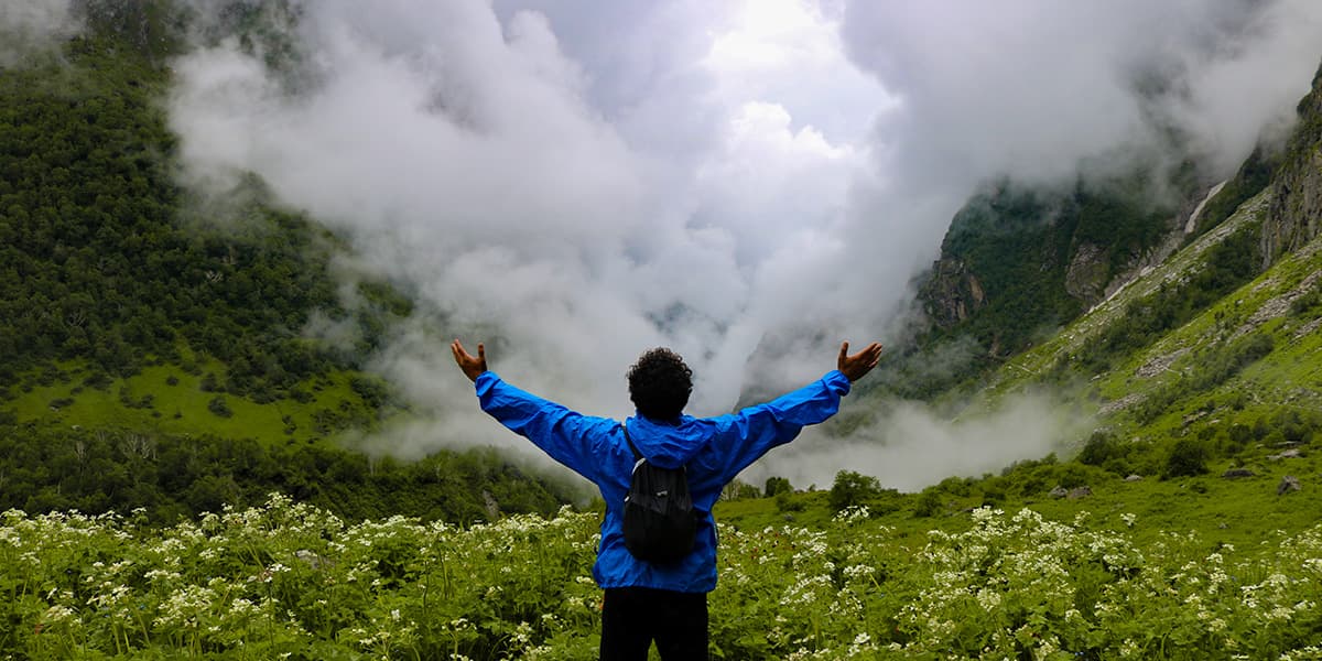 Valley of Flowers View 4
