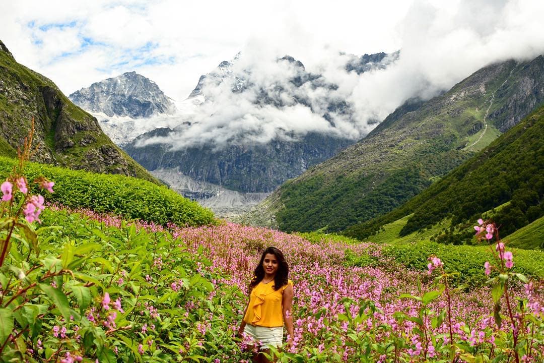 Valley of Flowers View 5